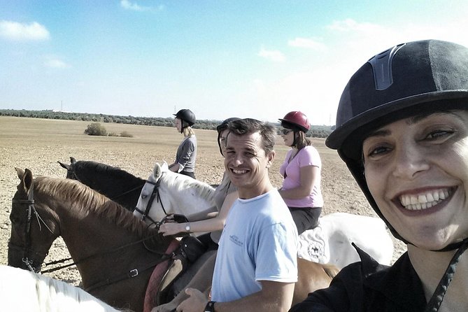 Horse Riding Excursion from Seville - Meet the horses the calm way: helmets, first lessons, and stable life