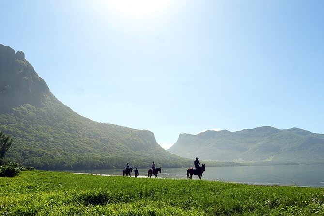 Horse Riding experience by Haras du Morne - Key things I’d zero in on before you book