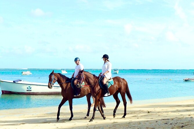 Horse Riding experience by Haras du Morne - Le Morne: More than a viewpoint, it’s a story of survival