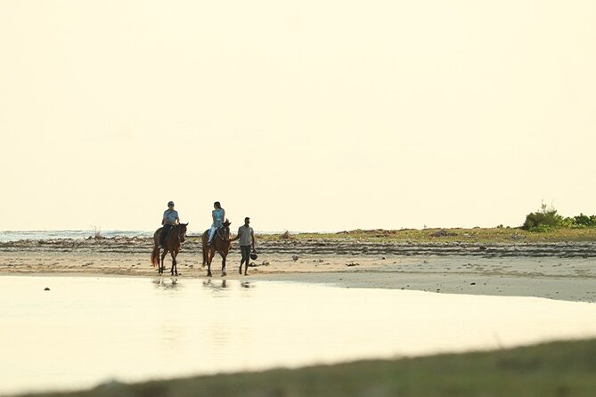 Horse Riding experience by Haras du Morne - Trou aux Cerfs: A crater viewpoint that links you to the island