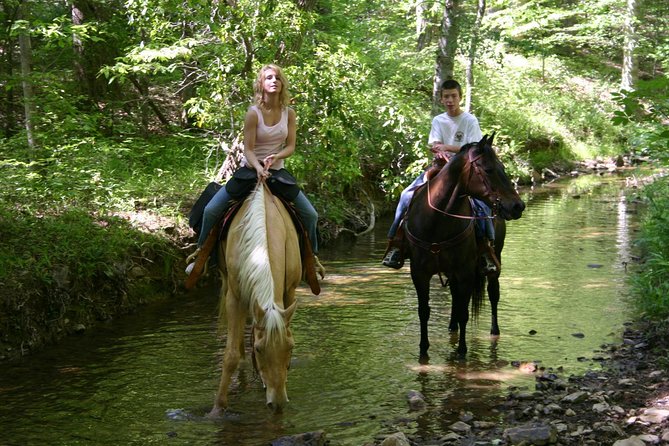 Horse Riding Experience in Marmaris with Transfer - Key Highlights You’ll Care About