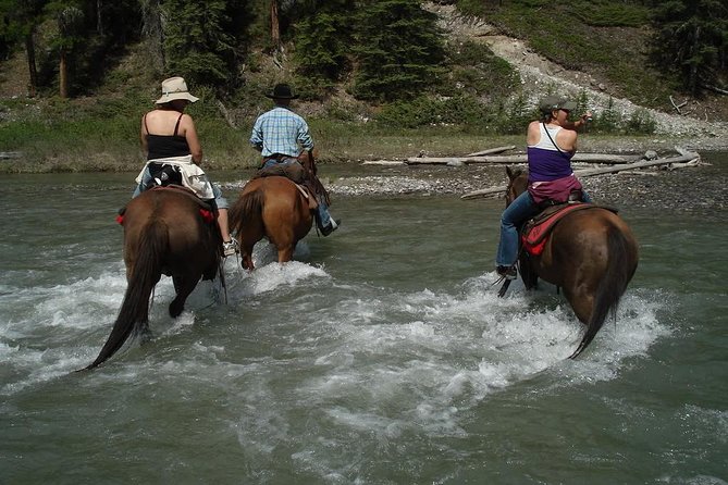 Horse Riding Experience in Marmaris with Transfer - Footwear and Water: The One “Bring This” Detail That Matters