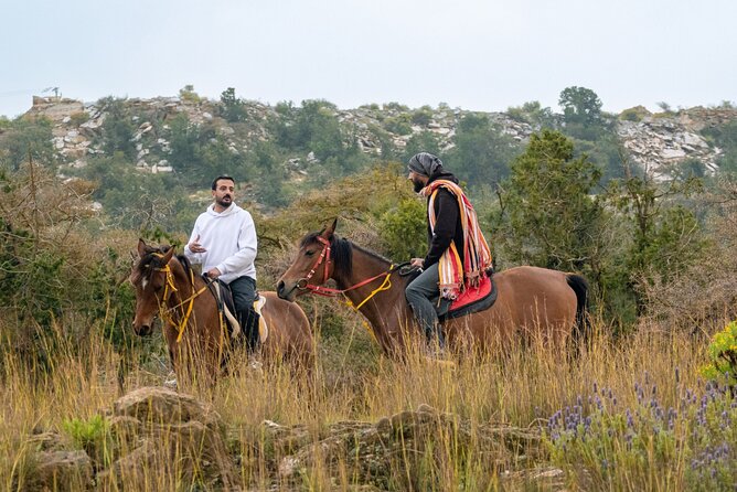Horse Riding Experience in Riyadh | Tanomah | Jeddah | Al Ula - Choosing Between Riyadh, Jeddah, and Tanomah