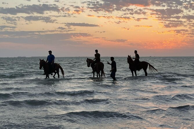 Horse Riding Experience in Riyadh | Tanomah | Jeddah | Al Ula - Tanomah Valleys, Viewpoints, and Passing Quiet Ruins