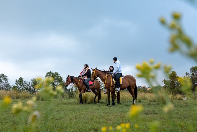 Horse Riding Experience in Riyadh | Tanomah | Jeddah | Al Ula - Price and Value: Is $75 Per Person Worth It?