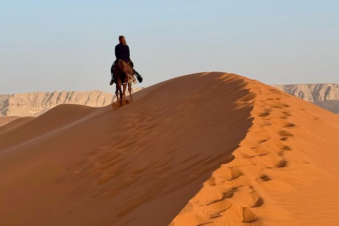 Horse Riding Experience in Riyadh | Tanomah | Jeddah | Al Ula - What You Actually Do in the 1-Hour Ride