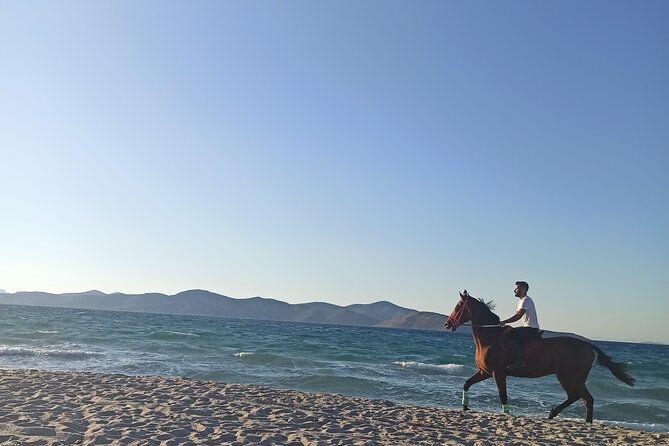 Horse Riding Experience on the Beach with Instructor - Key things to know before you ride
