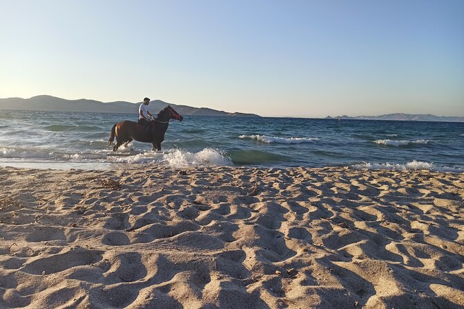 Horse Riding Experience on the Beach with Instructor - Starting at the Stable: Equipment, Control, and Calm Instruction