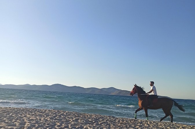 Horse Riding Experience on the Beach with Instructor - The Beach Ride: Where the Sand Meets the Sea