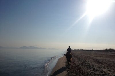 Horse Riding Experience on the Beach with Instructor - From Stable to Scenic Route: Salt Lake, Flamingos, and Easy Sightseeing