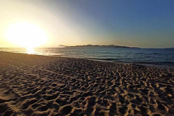 Horse Riding Experience on the Beach with Instructor - Price and Value: Is $84.29 Worth It?