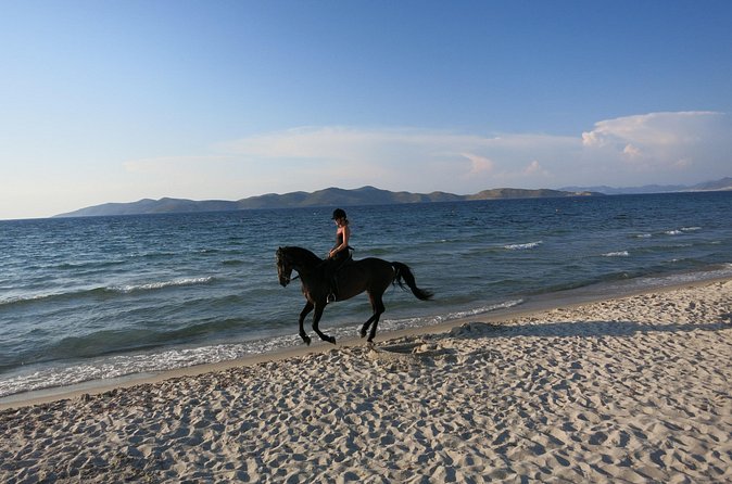 Horse Riding Experience on the Beach with Instructor - Pickup and Getting There: The Kefalos Area Note