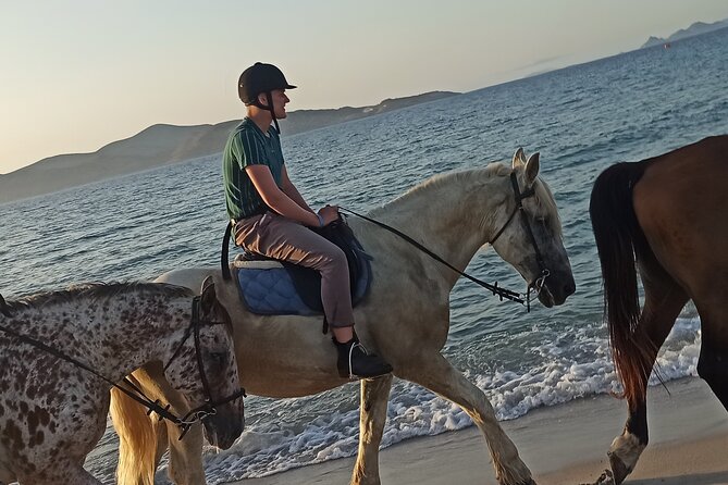 Horse Riding Experience on the Beach with Instructor - Who Should Book This Horse Riding Experience?