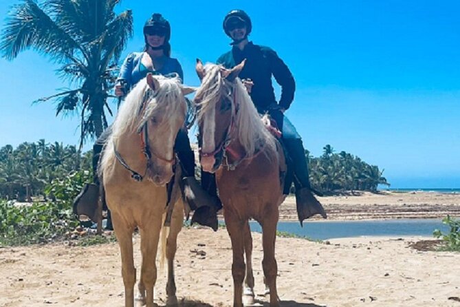 Horse Riding Experience through El Limon Beach - Village Streets to Wetlands: What You’ll See From the Saddle