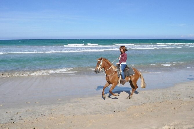 Horse Riding Experience through El Limon Beach - No Food Served: How to Plan Your Half-Day Like a Pro