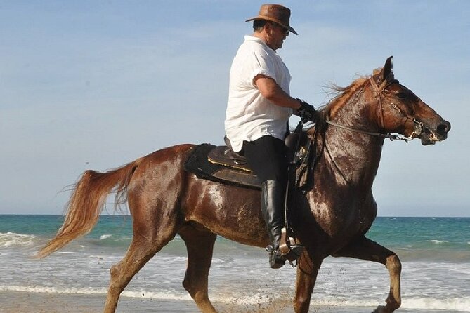 Horse Riding Experience through El Limon Beach - Price and Value: What $150 Buys You in Punta Cana