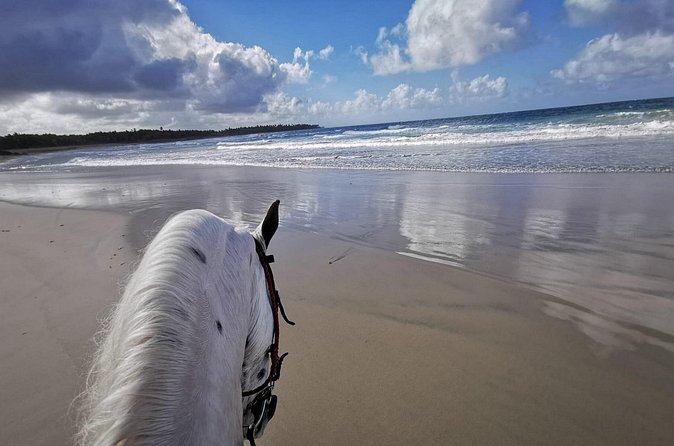 Horse Riding Experience through El Limon Beach - Timing, Weather, and When to Book