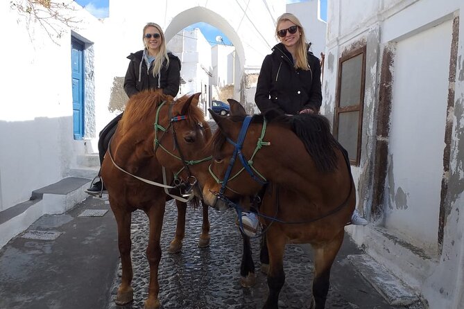 Horse Riding: Explore Secret Thera - Megalochori to the saddle: where this tour actually starts