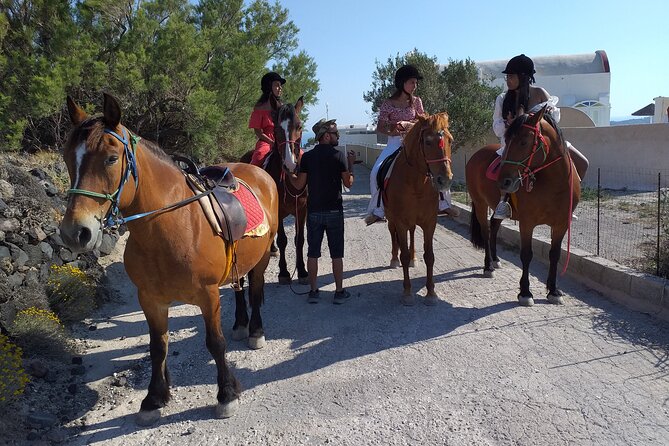 Horse Riding: Explore Secret Thera - Stop 2 toward Santorini’s viewpoints: caldera edges and photo stops