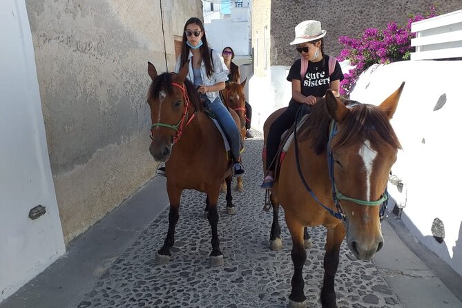 Horse Riding: Explore Secret Thera - Horses and comfort: what calm riding really means