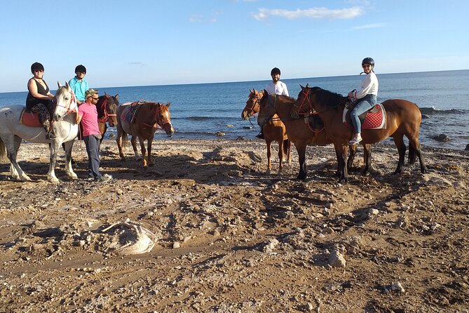 Horse Riding: Explore Secret Thera - Helmets, water, and what to bring for a smooth day