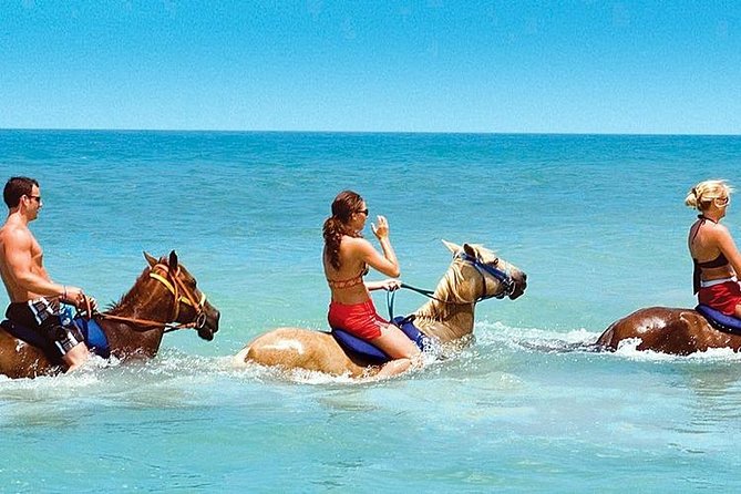 Horse Riding From Kusadasi Port / Hotels - Key Points I’d Pin to the Top