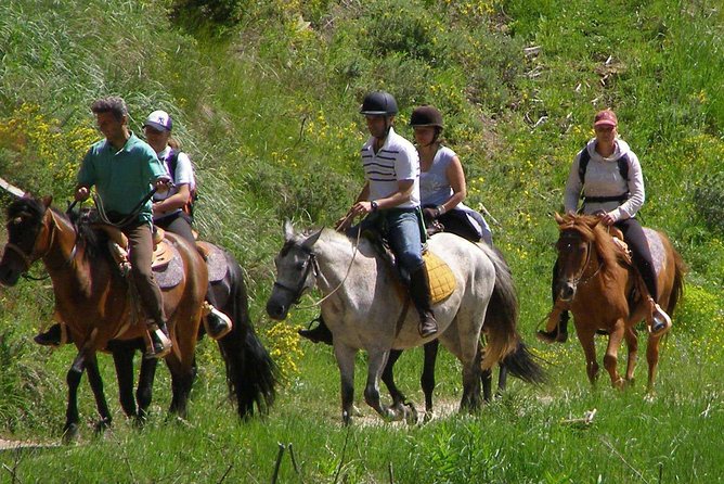 Horse Riding From Kusadasi Port / Hotels - The 3-Hour Plan at Pamucak Beach (What Happens When)
