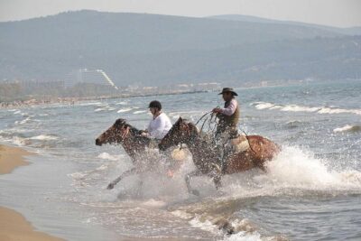 Horse Riding From Kusadasi Port / Hotels - Pickup, Timing, and Getting Back on Schedule