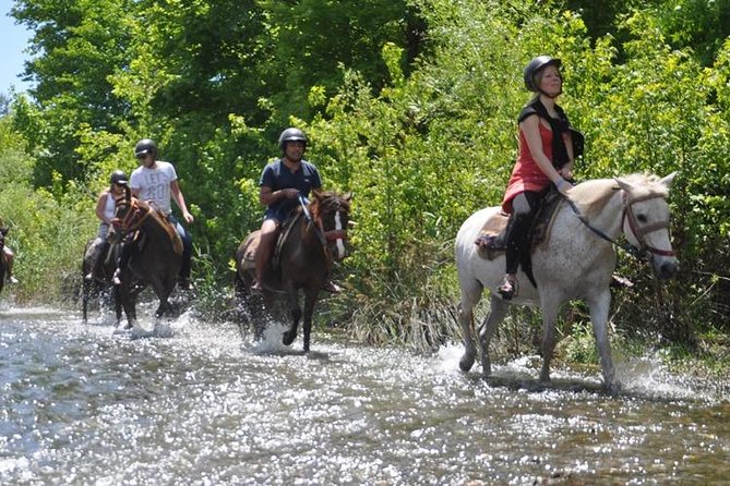 Horse Riding From Kusadasi Port / Hotels - Price Breakdown: What $49 Really Buys