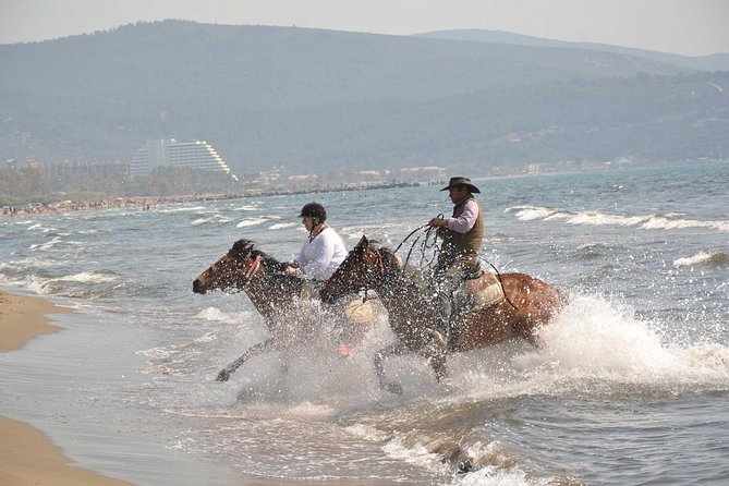 Horse Riding From Kusadasi Port / Hotels - Pickup, Timing, and Getting Back on Schedule