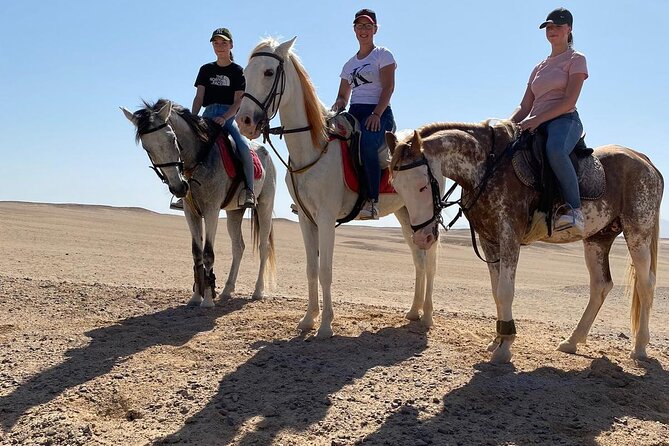 Horse Riding in Amazing Dessert With Transfer - Marsa Alam - Key Highlights You’ll Care About