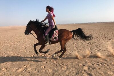 Horse Riding in Amazing Dessert With Transfer - Marsa Alam - Pickup, Water, and the Small-Group Factor