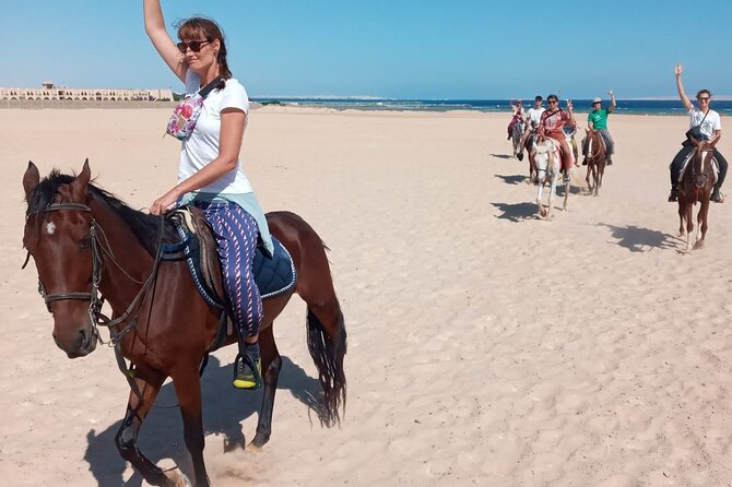 Horse Riding in Amazing Dessert With Transfer - Marsa Alam - Safety Basics That Matter (and What to Do Before You Go)