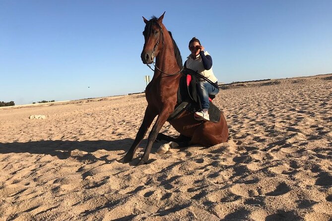 Horse Riding in Amazing Dessert With Transfer - Marsa Alam - Who Should Book This Horse Ride (and Who Should Rethink It)