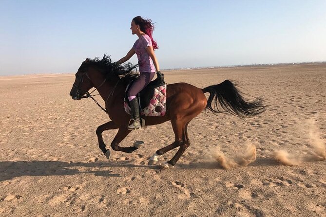 Horse Riding in Amazing Dessert With Transfer - Marsa Alam - Pickup, Water, and the Small-Group Factor