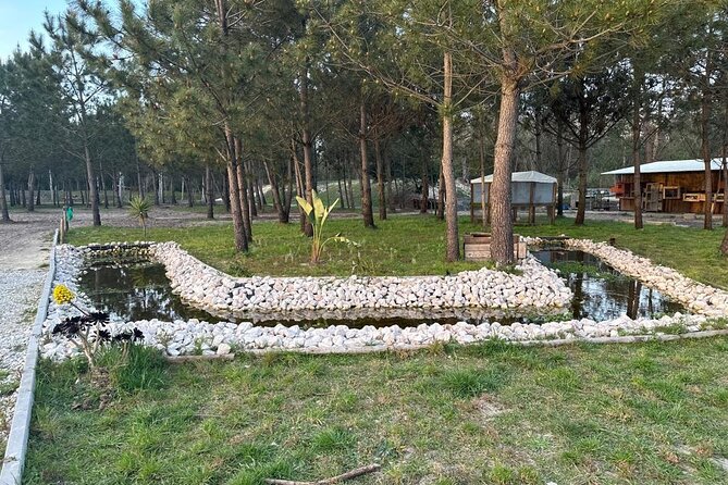 Horse Riding in Aveiro - Ílhavo - Weather and Day-Of Reality: Plan for Outdoor Conditions