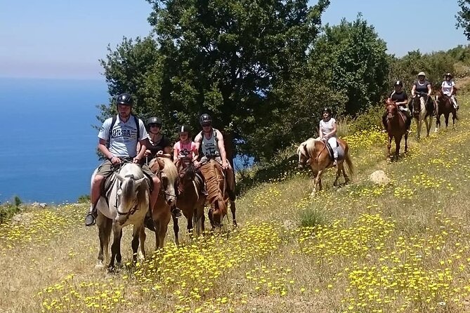 Horse Riding in Fethiye - Key highlights at a glance