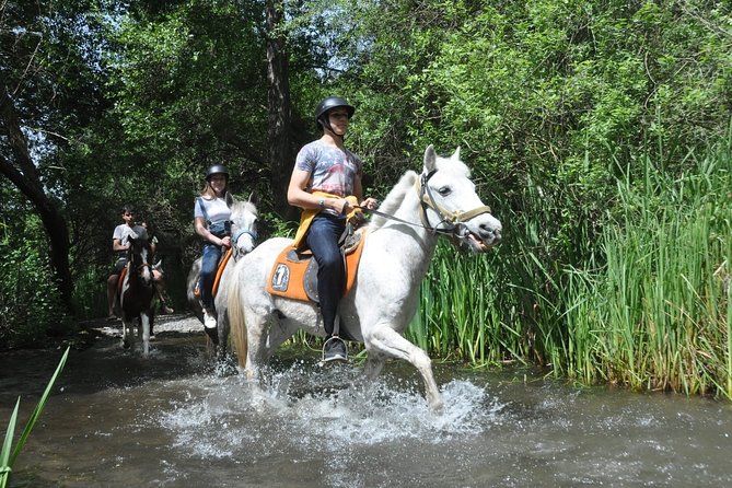 Horse Riding in Fethiye - Horse Riding in Fethiye: Why This Tour Works