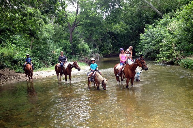 Horse Riding in Fethiye - Horses and Rider Comfort: What to Check Before You Go