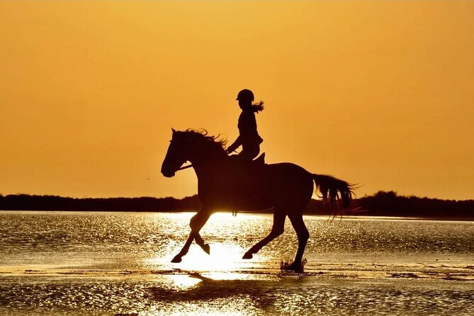 Horse Riding in Manavgat Side Forest and Beach - Side to the Horse Club: Pickup, Timing, and the Real Schedule