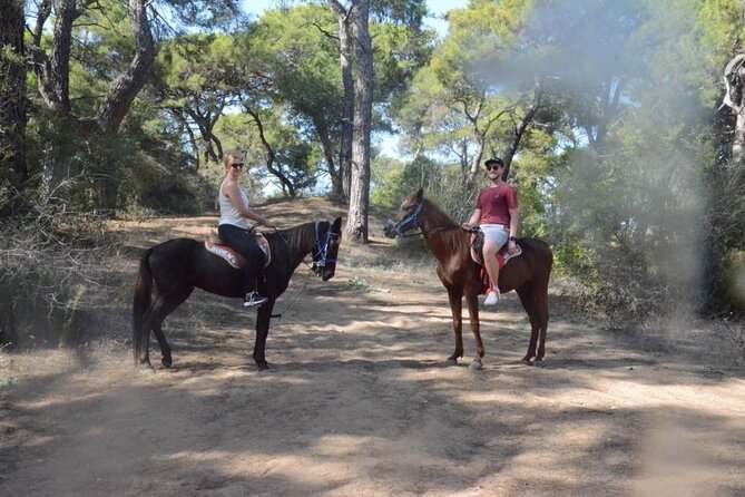 Horse Riding in Manavgat Side Forest and Beach - Choosing Your Route: Coastal Road vs Pine Forest and River