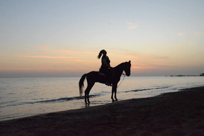 Horse Riding in Manavgat Side Forest and Beach - The Transfer Loop Through Side, Manavgat, and the Coastal Town Names