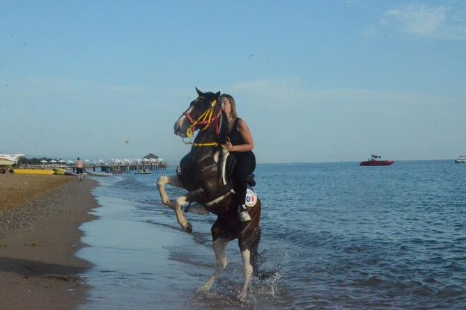 Horse Riding in Manavgat Side Forest and Beach - Getting Started on Horseback: Briefing, Equipment, and Safety Reality