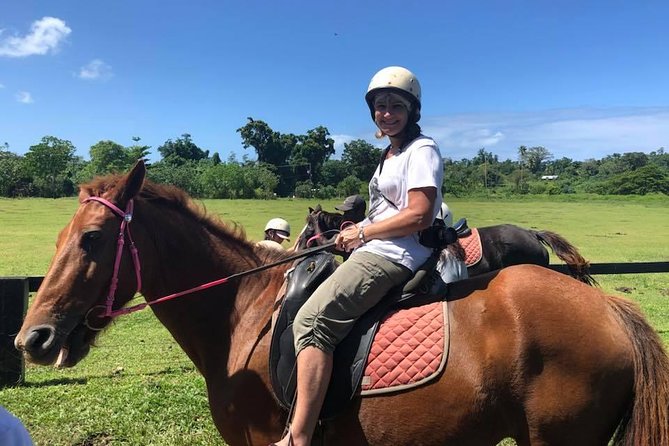 Horse Riding in Port Vila with Yumi Tours - The 2-hour route: rainforest, gardens, then Etmat Bay