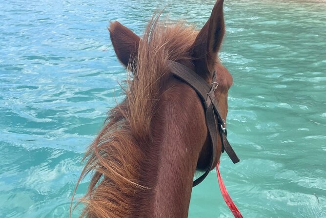 Horse Riding in Port Vila with Yumi Tours - The guide style: safety, photo help, and steady check-ins