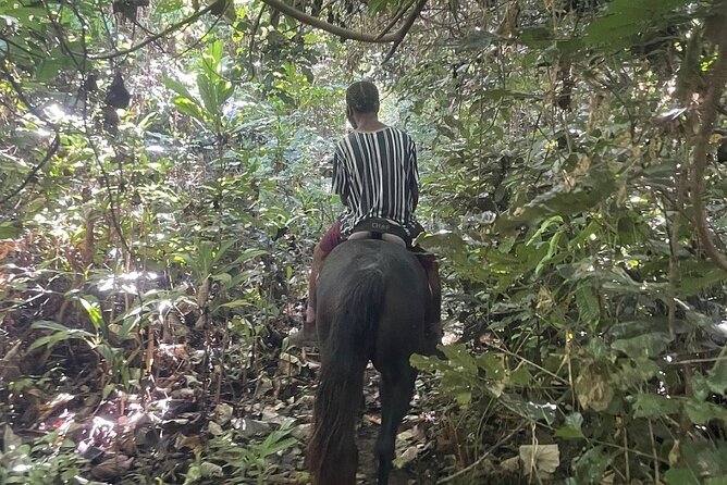 Horse Riding in Port Vila with Yumi Tours - Timing, weather, and what can change on the day