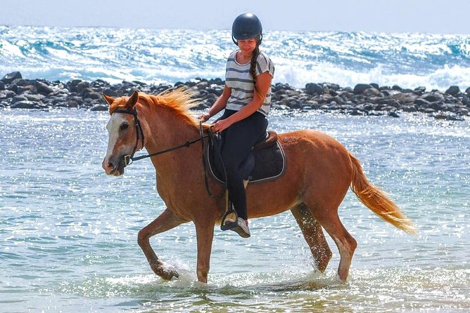Horse Riding in Sal Island - Cabo Verde - Key Points That Make This Ride Worth Your Time