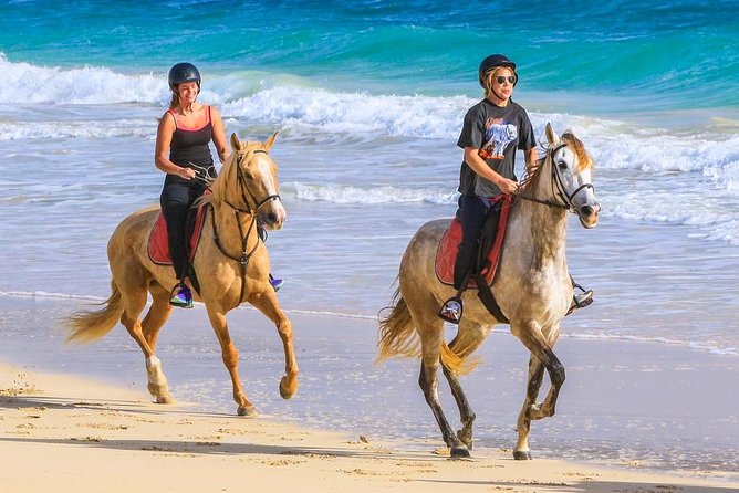 Horse Riding in Sal Island - Cabo Verde - First Stop: Santa Marilha Stables, Botanical Gardens, and Setup