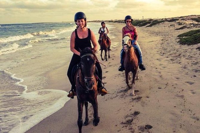 Horse Riding in Sal Island - Cabo Verde - The 1-Hour Ride: Salt Flats and the Big Salt Mines Experience