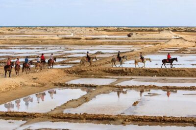 Horse Riding in Sal Island - Cabo Verde - How the Tour Handles Safety and Rider Matching